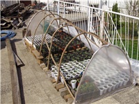 b11d32c4-anita 01 070.jpg